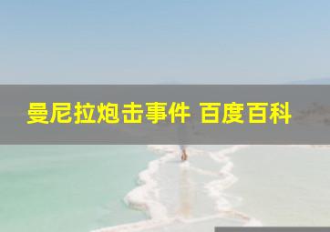 曼尼拉炮击事件 百度百科